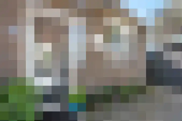 Ligusterpark 19 Zoetermeer thumbnail 9