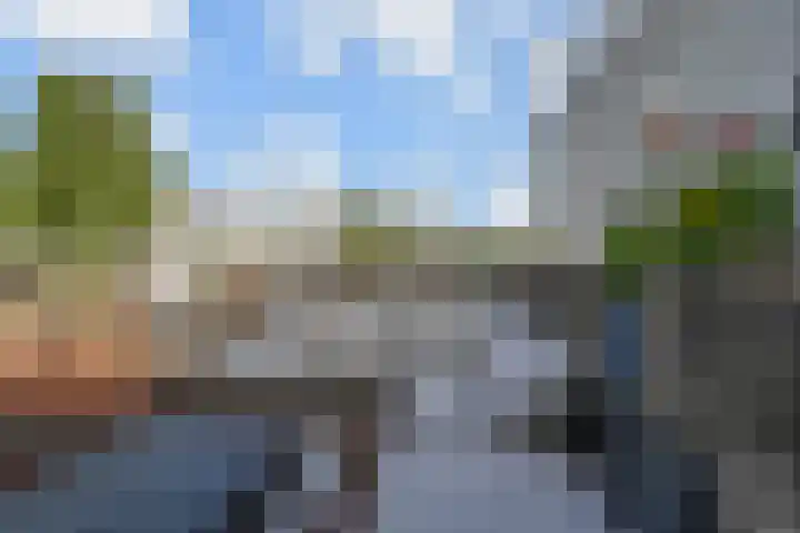 Ligusterpark 20 Zoetermeer thumbnail 22