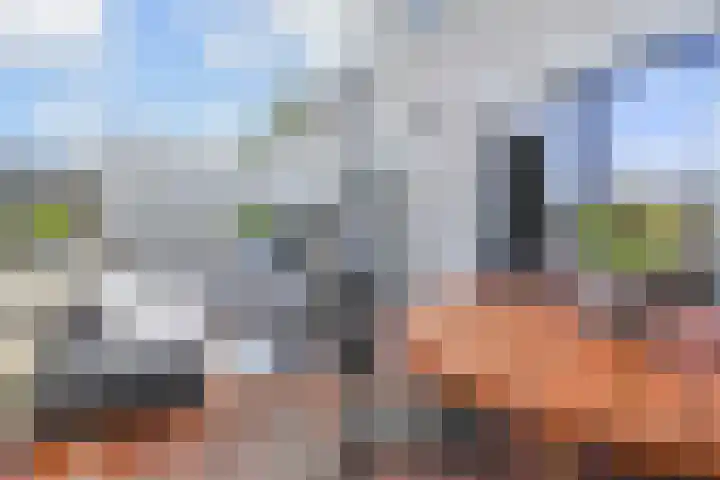 Ligusterpark 20 Zoetermeer thumbnail 23