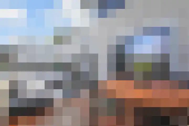 Ligusterpark 20 Zoetermeer thumbnail 24