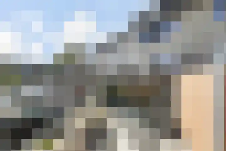 Ligusterpark 20 Zoetermeer thumbnail 26