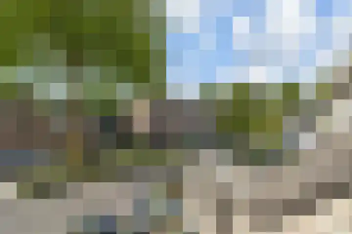 Ligusterpark 20 Zoetermeer thumbnail 30