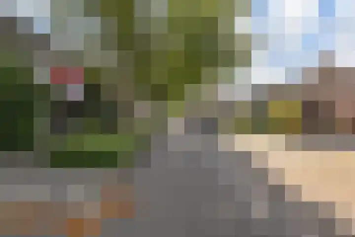 Ligusterpark 20 Zoetermeer thumbnail 46