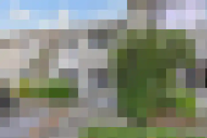 Ligusterpark 20 Zoetermeer thumbnail 5