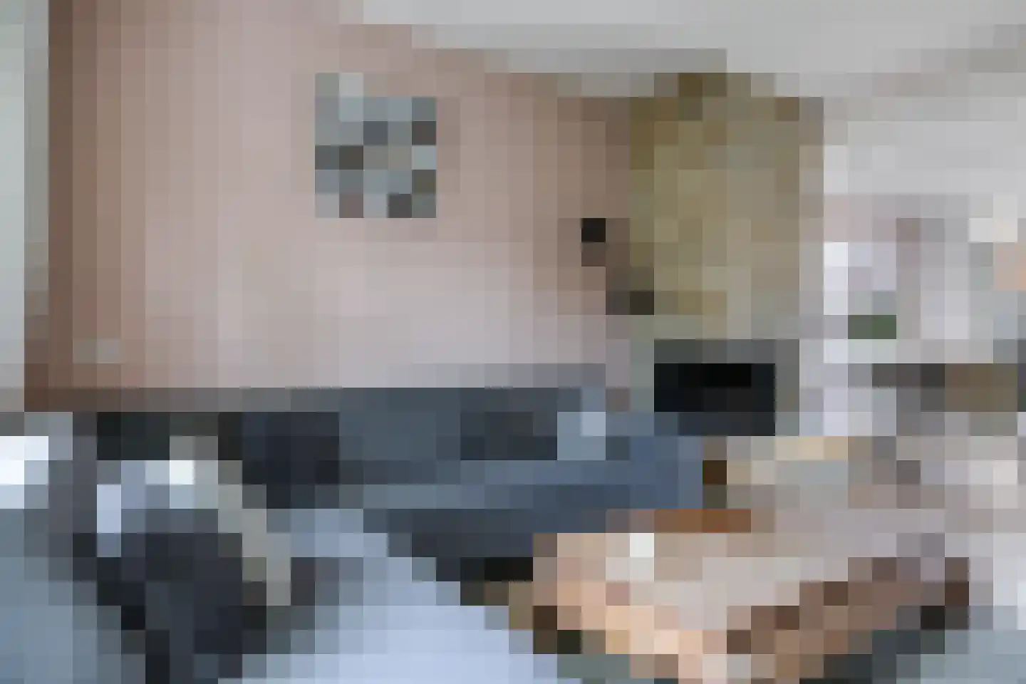 Ligusterstraat 10 Heteren thumbnail 18
