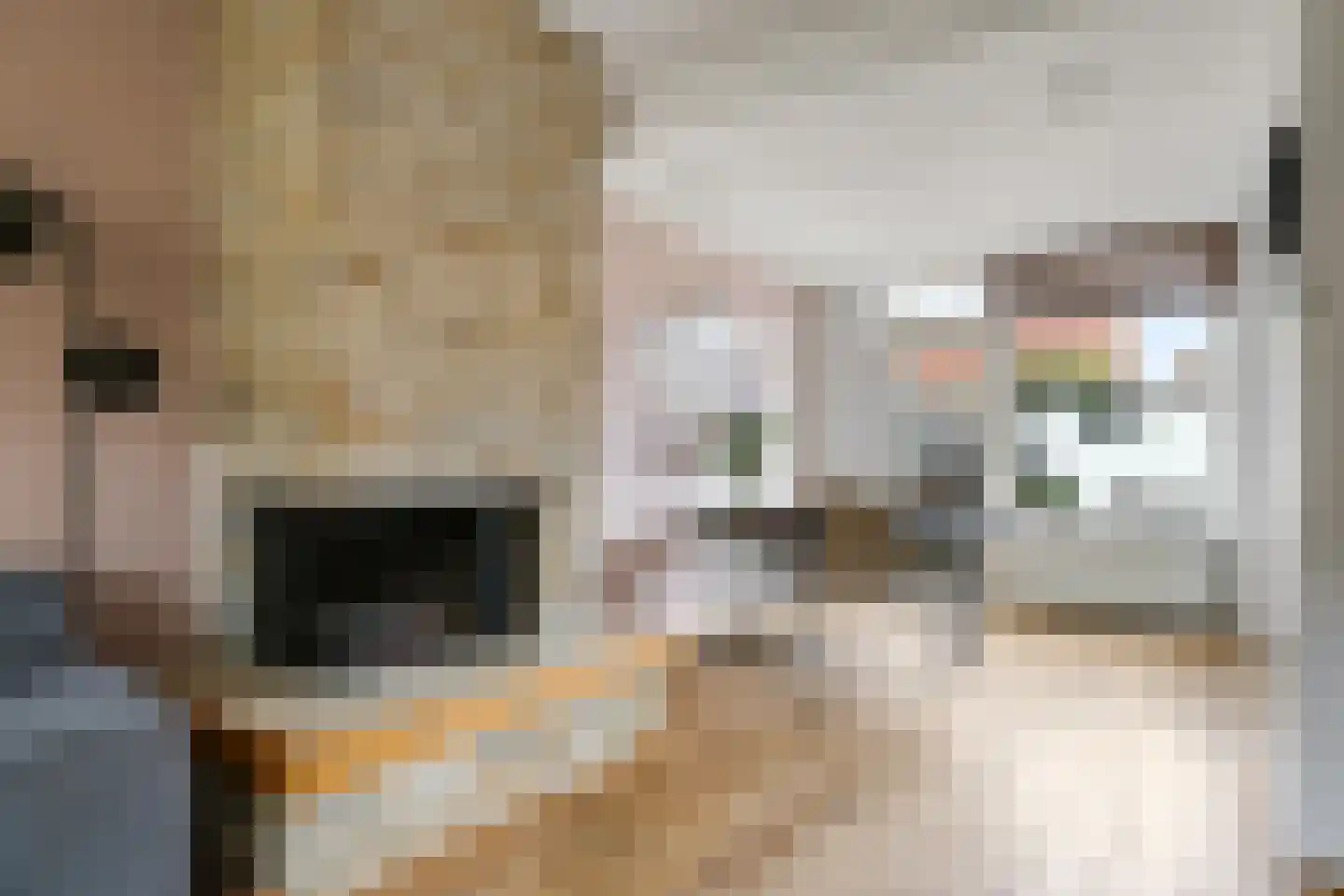 Ligusterstraat 10 Heteren thumbnail 20