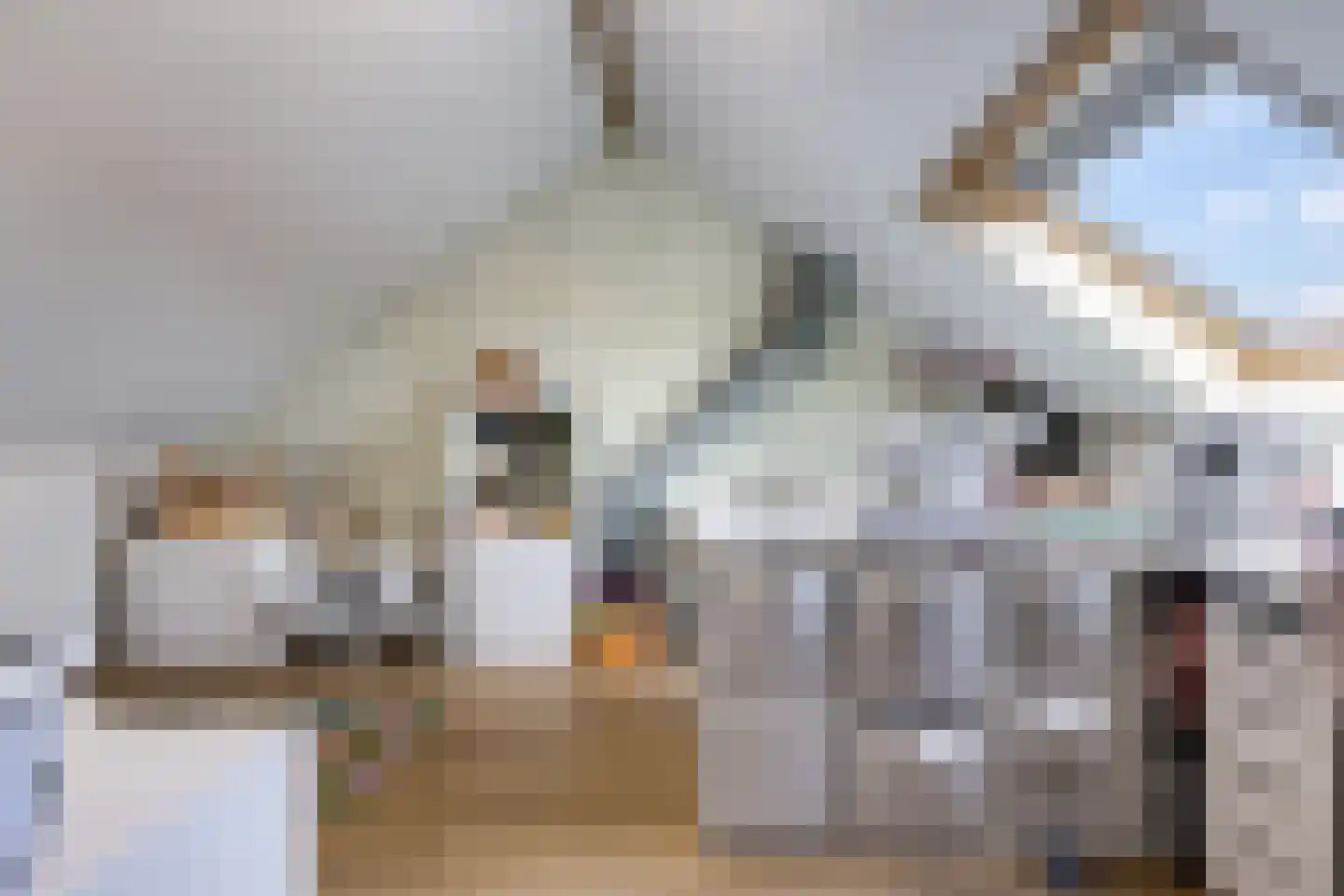Ligusterstraat 10 Heteren thumbnail 51