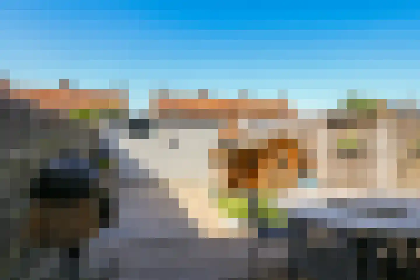 Ligusterstraat 10 Heteren thumbnail 60