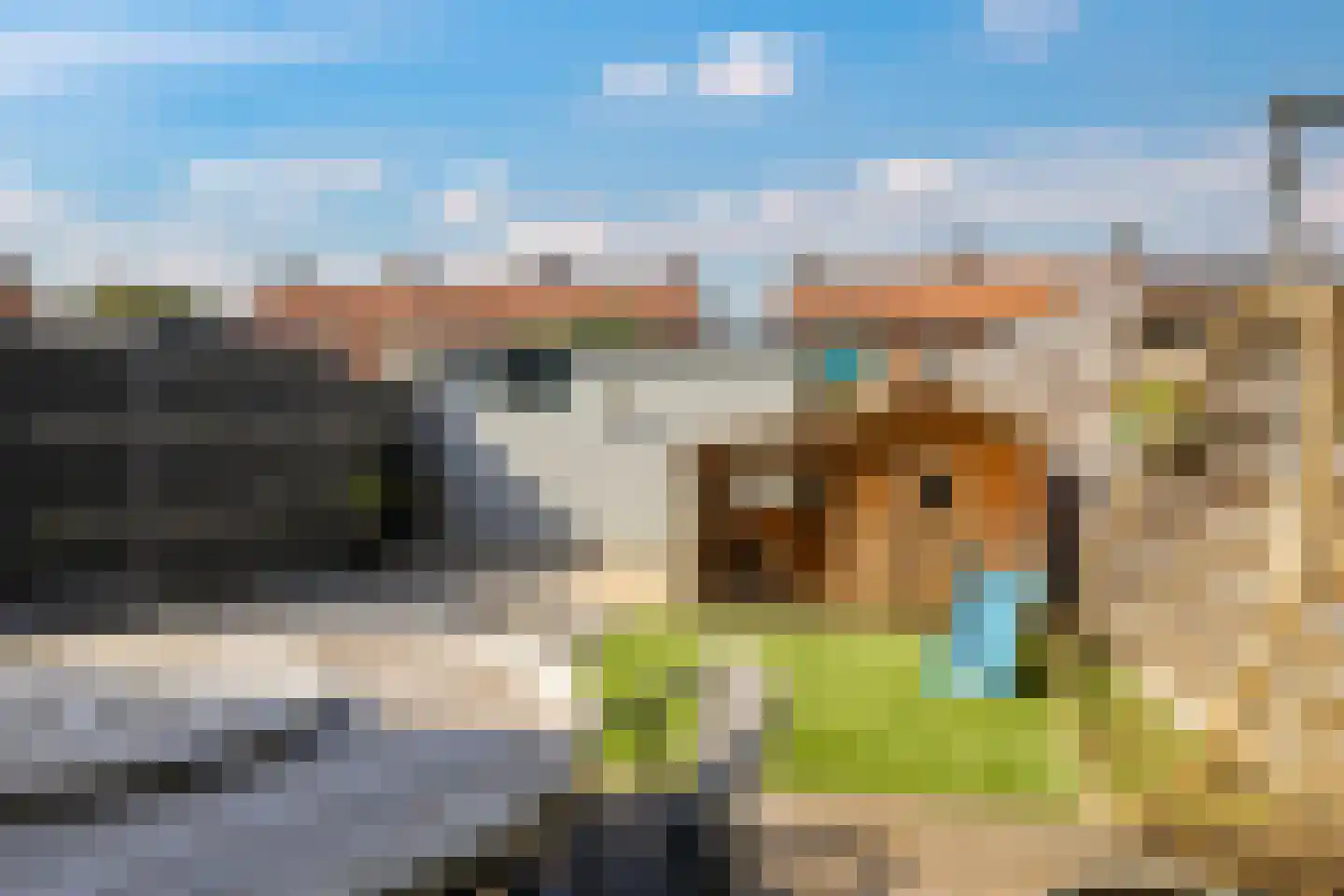 Ligusterstraat 10 Heteren thumbnail 63