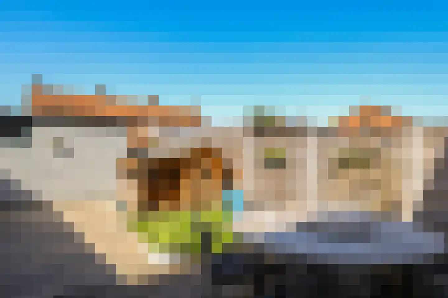 Ligusterstraat 10 Heteren thumbnail 64
