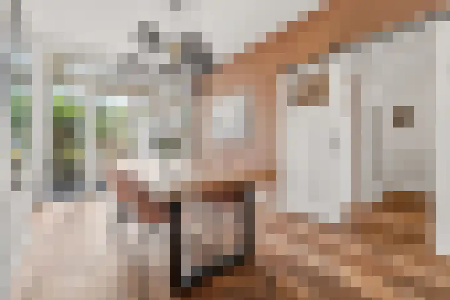 Ligusterstraat 11 Den Haag foto 2