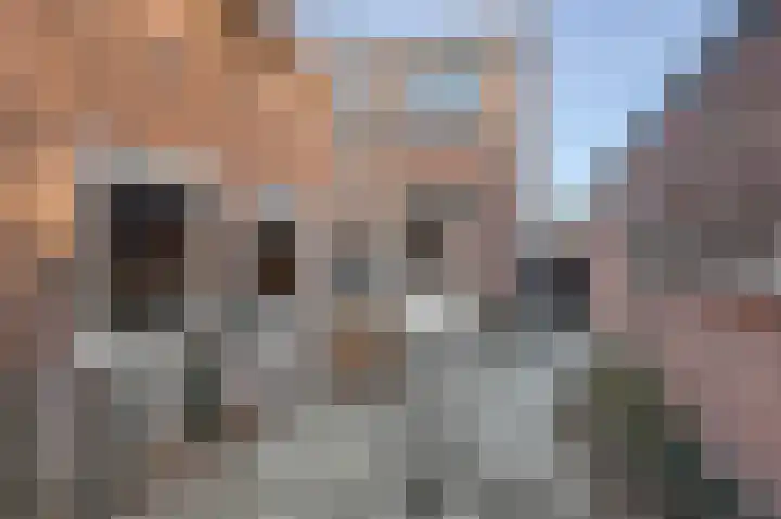 Ligusterstraat 2 Katwijk thumbnail 25