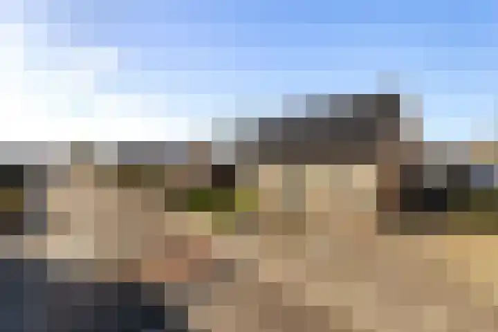 Ligusterstraat 21 in Wezep