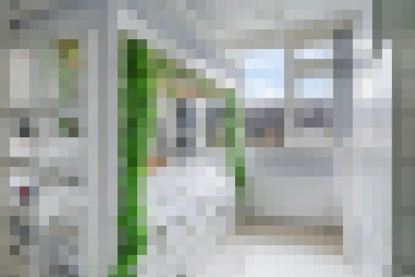 Ligusterstraat 21 Heteren thumbnail 33