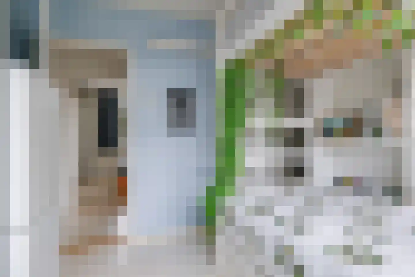 Ligusterstraat 21 Heteren thumbnail 34