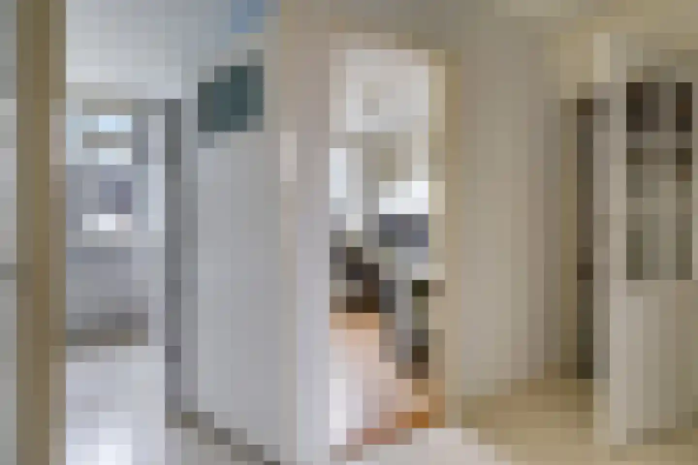 Ligusterstraat 21 Heteren thumbnail 35