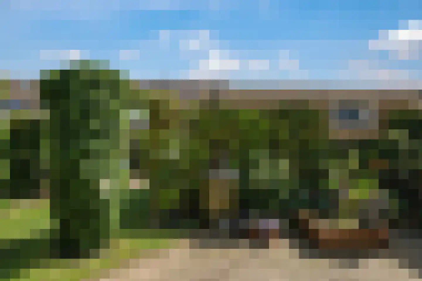 Ligusterstraat 21 Heteren thumbnail 53
