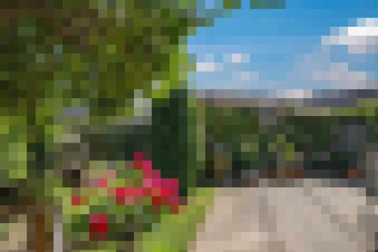 Ligusterstraat 21 Heteren thumbnail 55