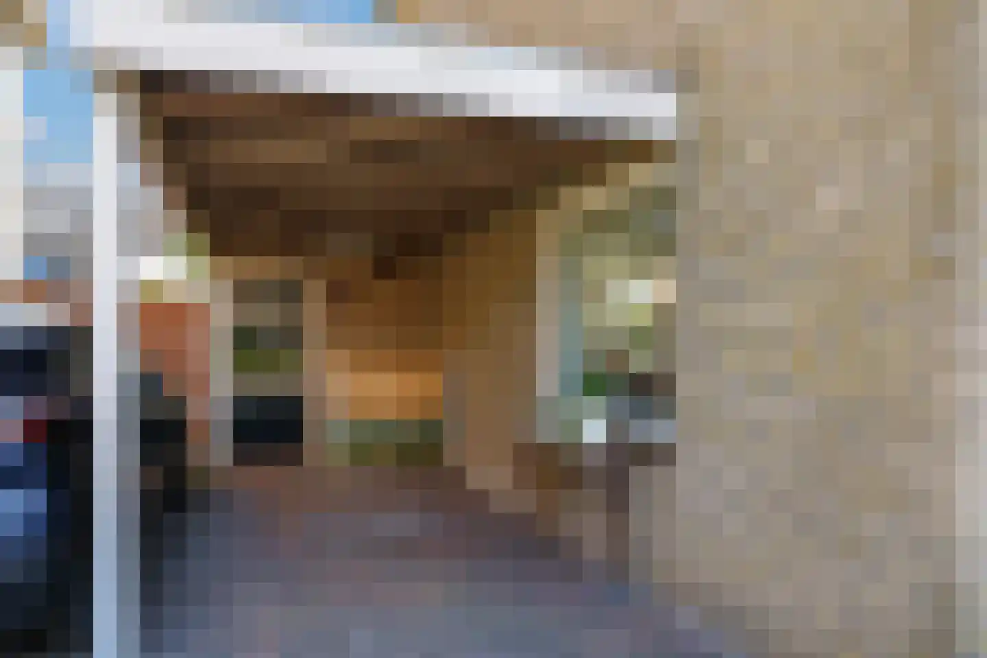 Ligusterstraat 21 Heteren thumbnail 62