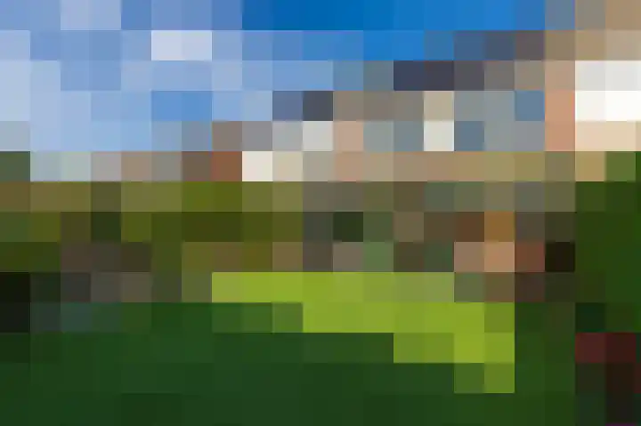 Ligusterstraat 24 Putte thumbnail 33