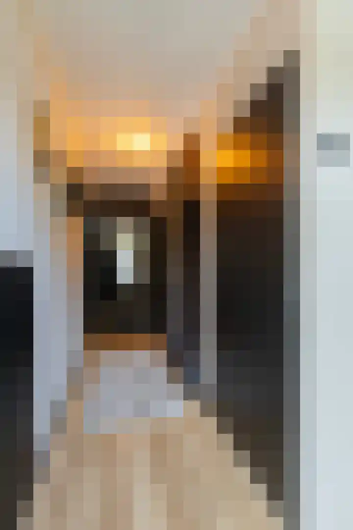 Ligusterstraat 24 Putte thumbnail 4