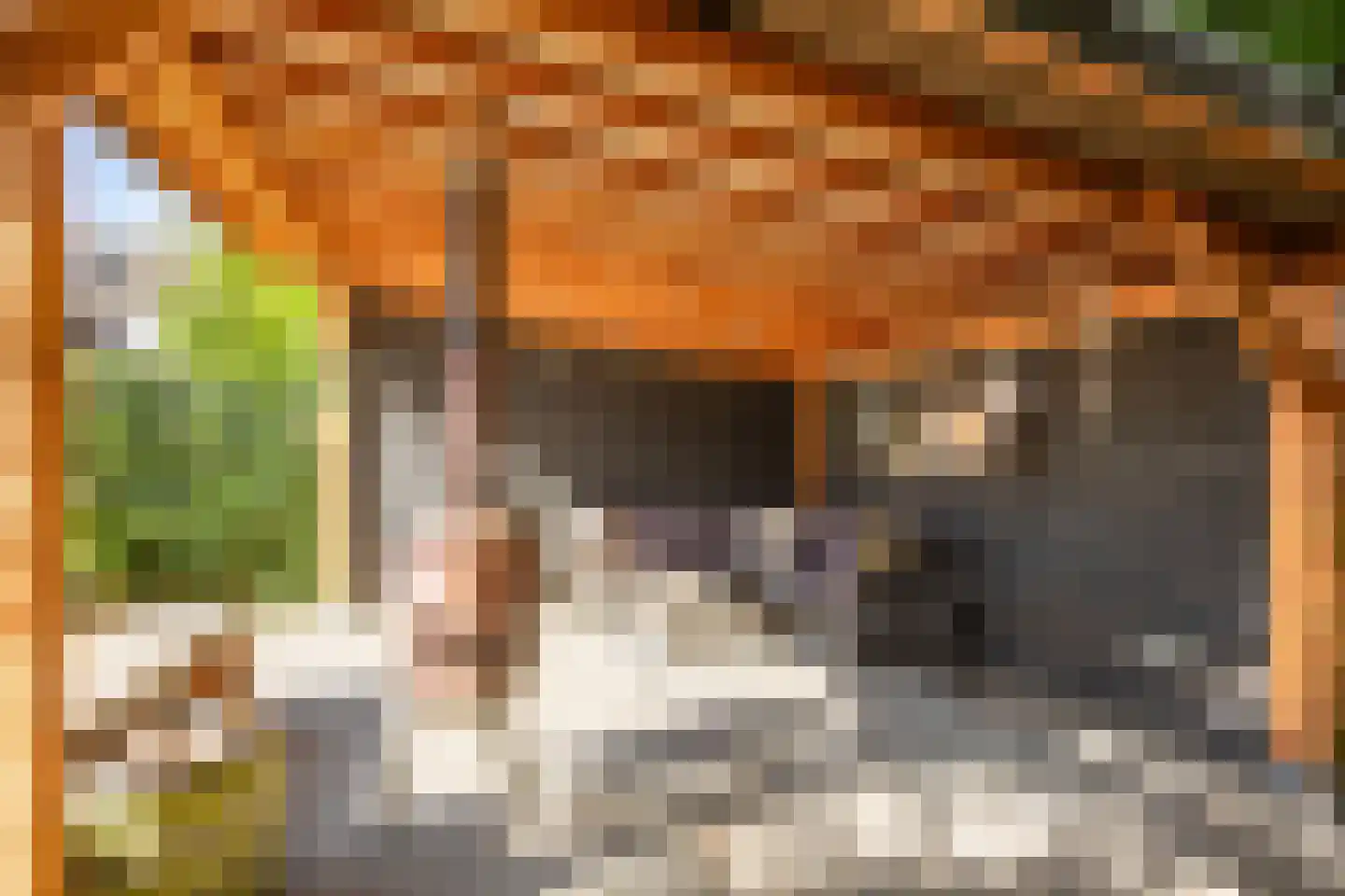 Ligusterstraat 28 Heerlen thumbnail 23