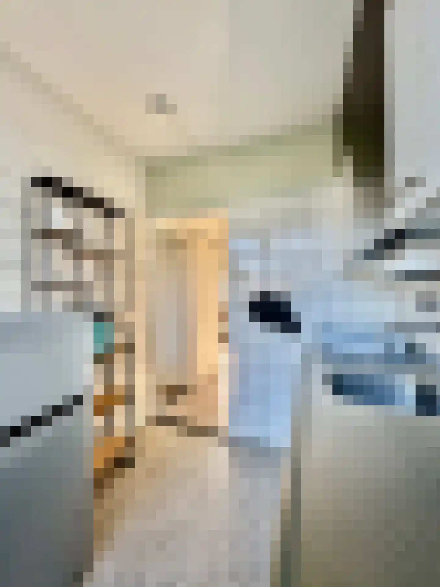 Ligusterstraat 37 Nijmegen thumbnail 12