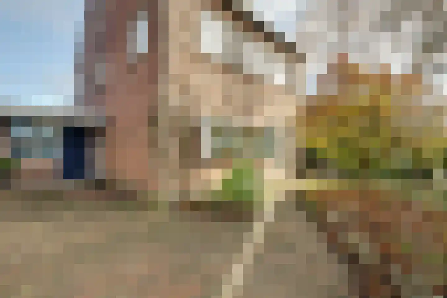 Ligusterstraat 49 's-Gravenpolder thumbnail 4