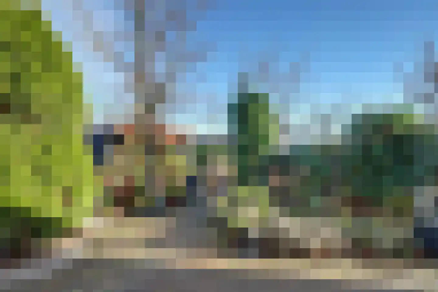 Ligusterstraat 49 's-Gravenpolder thumbnail 45