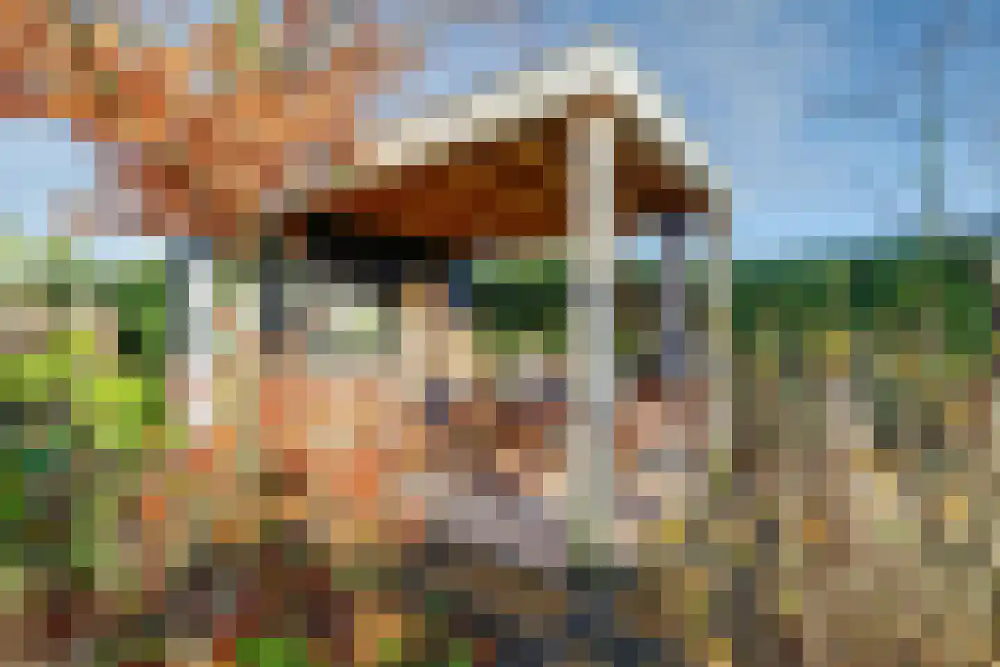 Ligusterstraat 49 's-Gravenpolder thumbnail 46