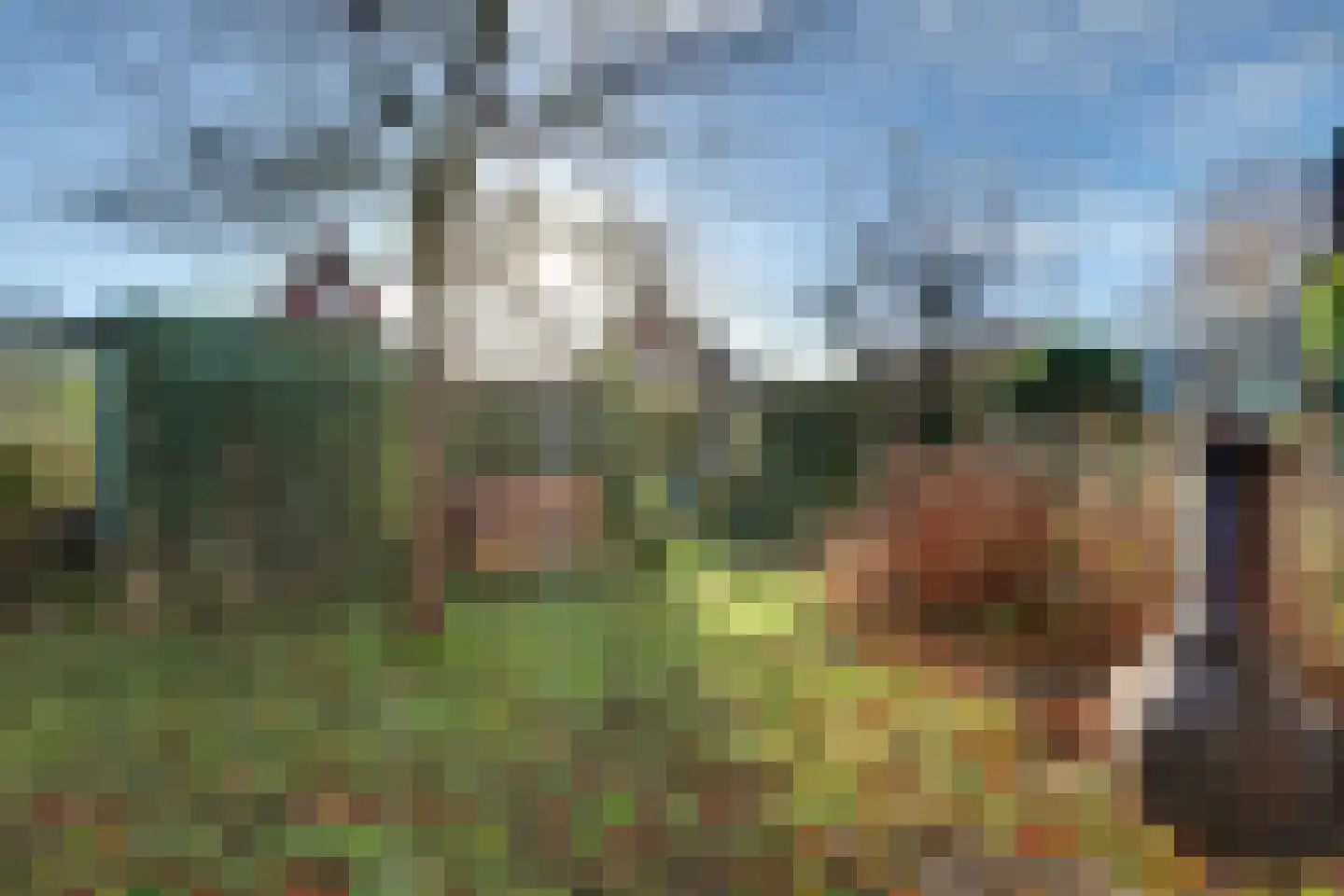 Ligusterstraat 49 's-Gravenpolder thumbnail 48