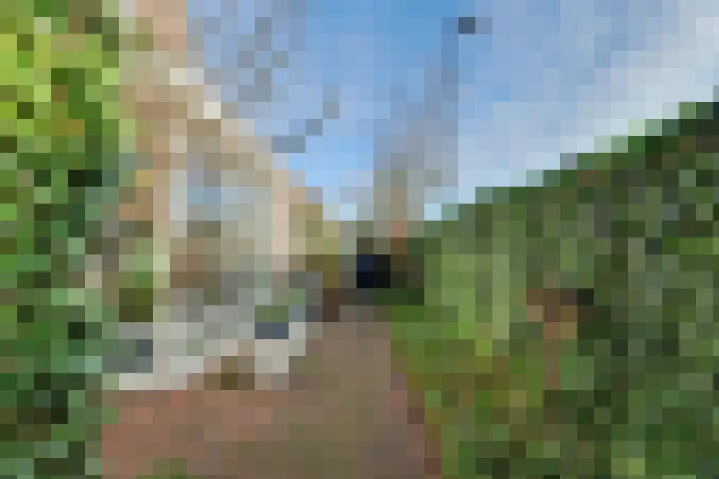 Ligusterstraat 49 's-Gravenpolder thumbnail 51
