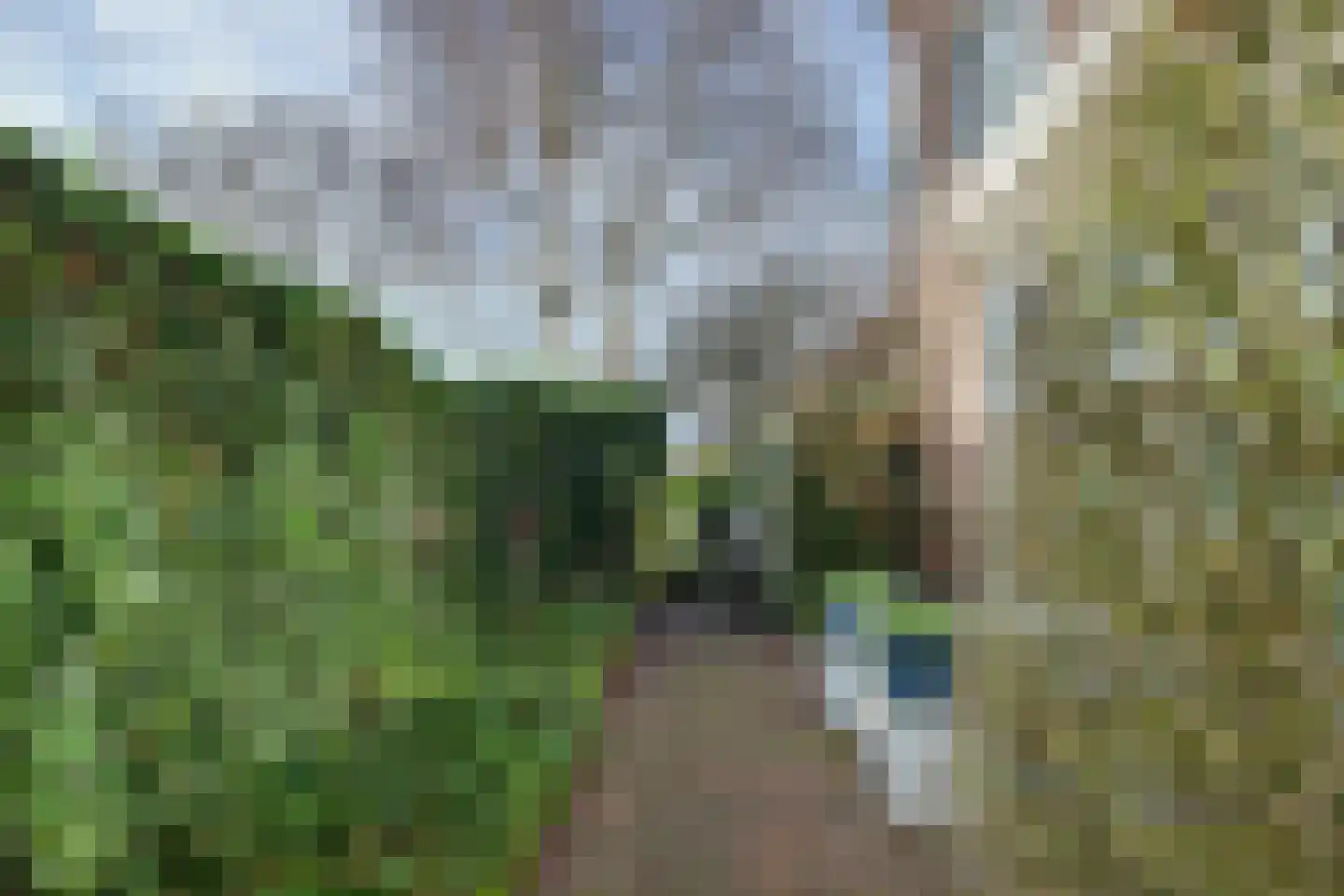 Ligusterstraat 49 's-Gravenpolder thumbnail 52
