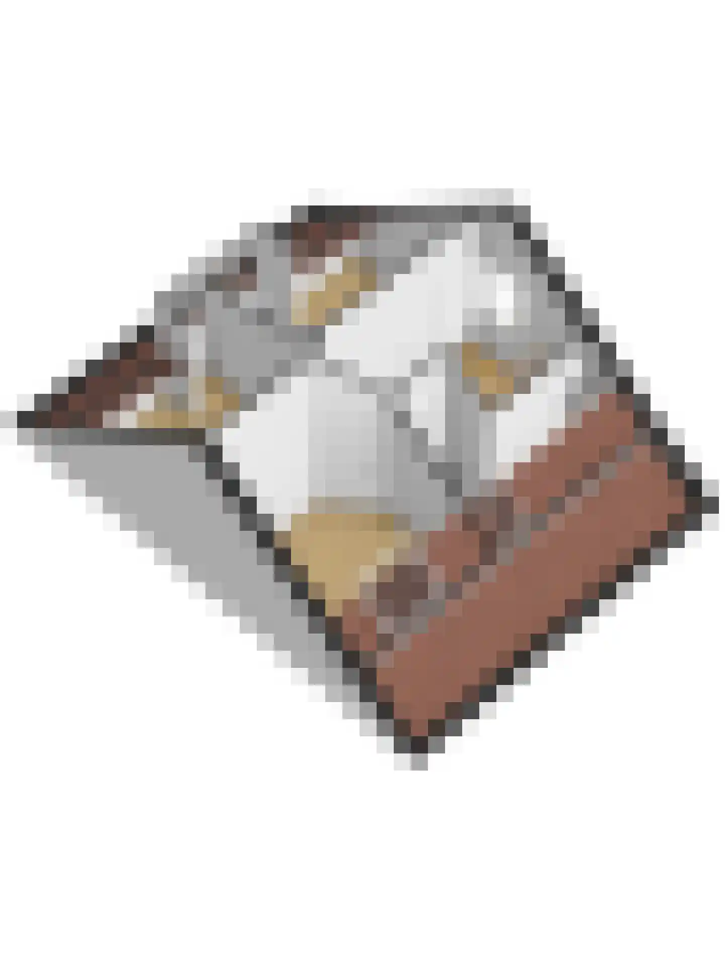 Ligusterstraat 49 's-Gravenpolder thumbnail 56