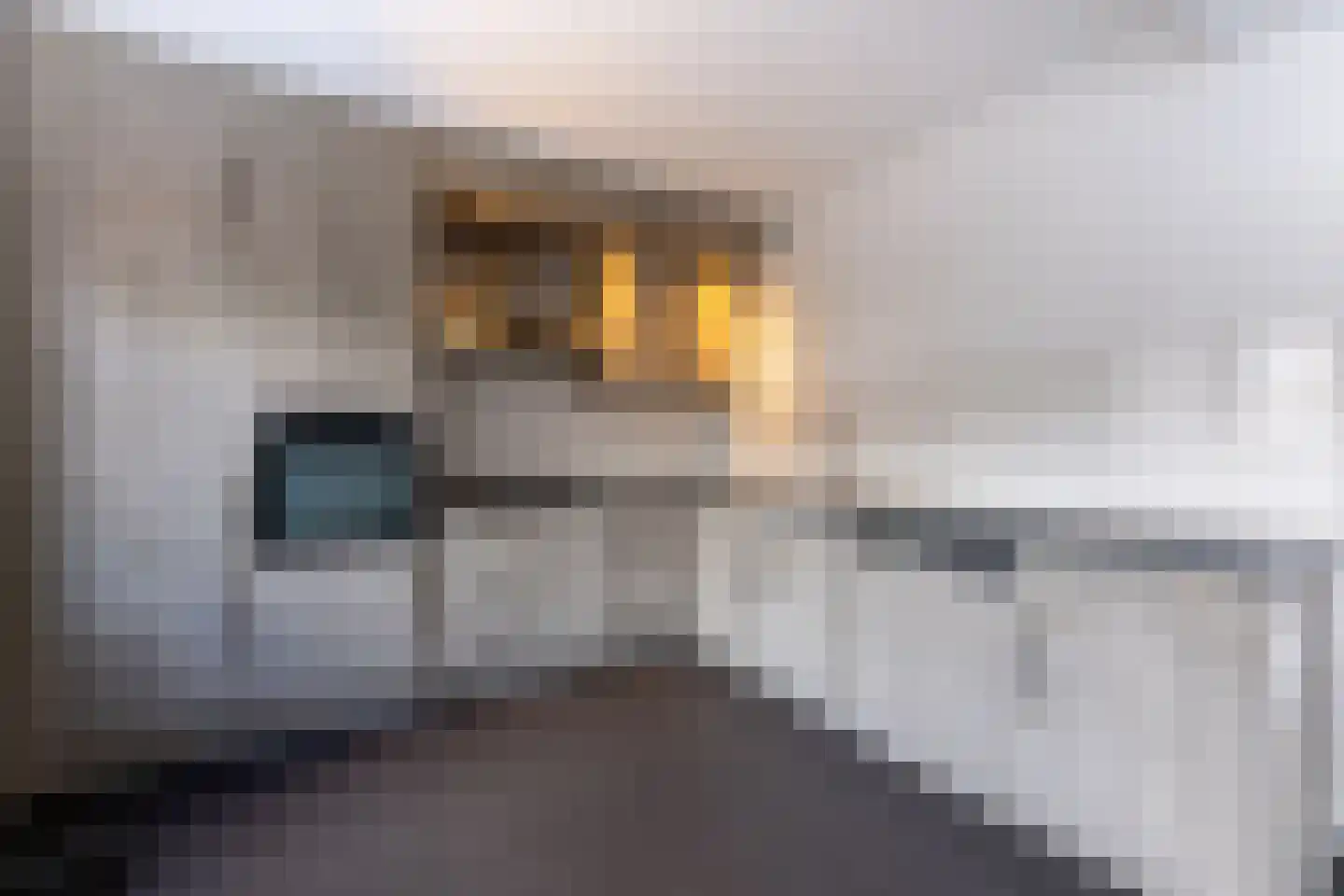 Ligusterstraat 5 Putte thumbnail 13