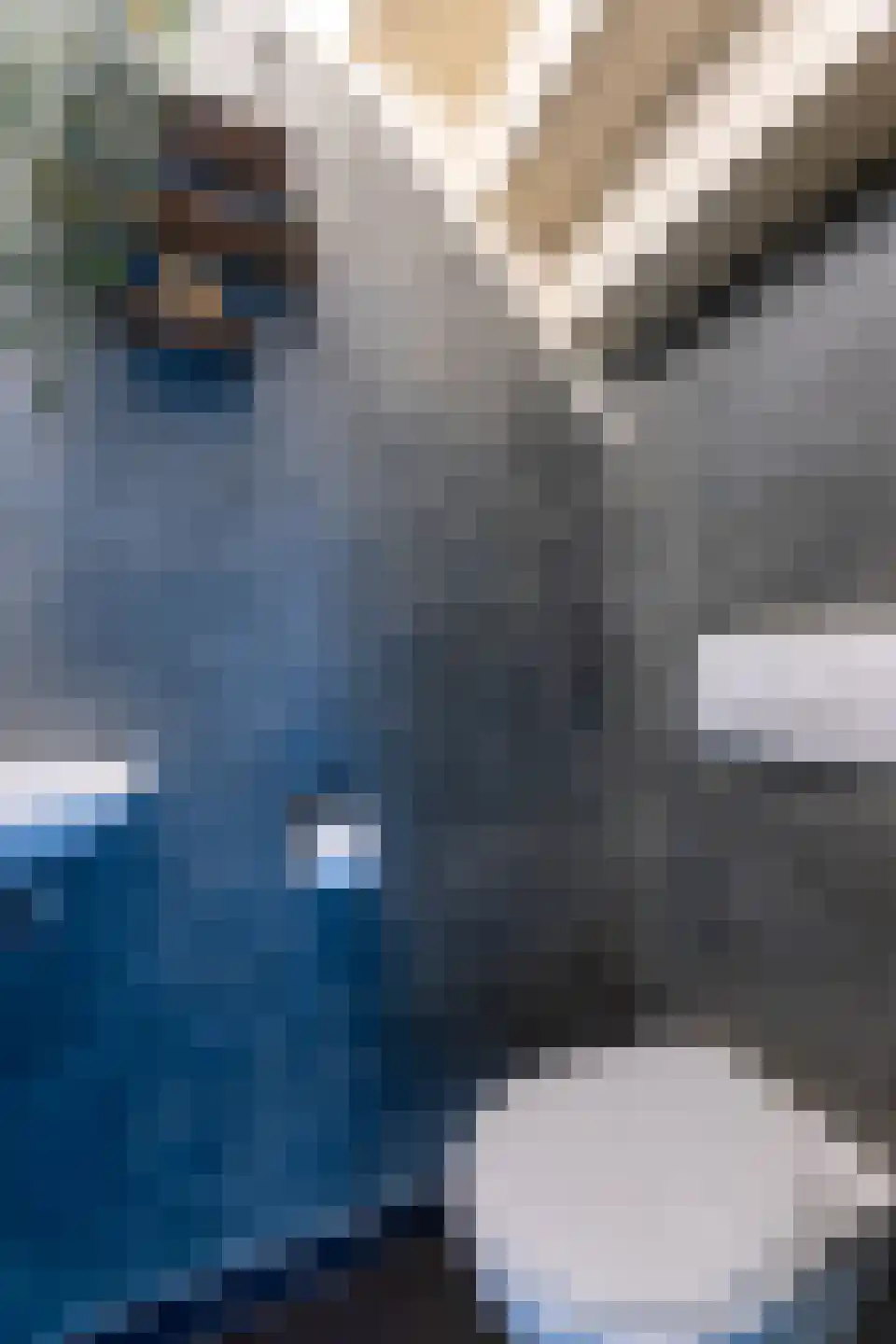 Ligusterstraat 5 Putte thumbnail 9