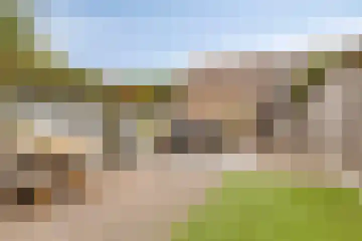 Ligusterstraat 6 's-Gravenpolder thumbnail 30