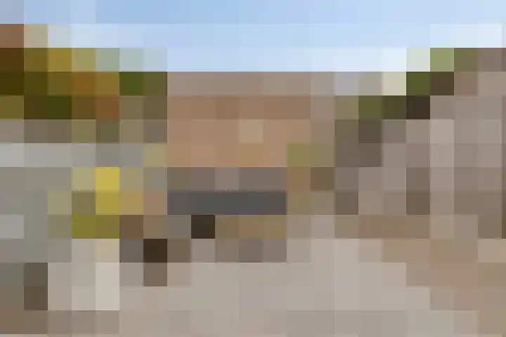 Ligusterstraat 6 's-Gravenpolder thumbnail 31