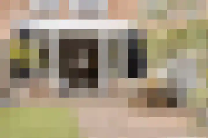 Ligusterstraat 6 's-Gravenpolder thumbnail 33