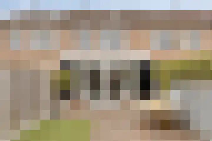 Ligusterstraat 6 's-Gravenpolder thumbnail 34