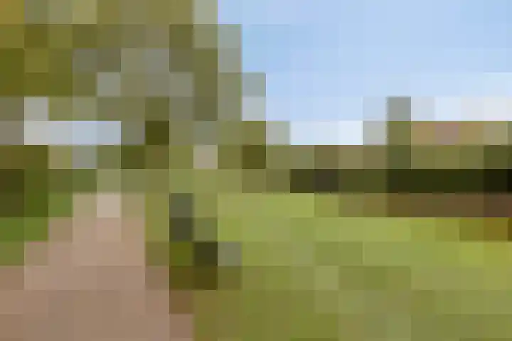 Ligusterstraat 6 's-Gravenpolder thumbnail 35