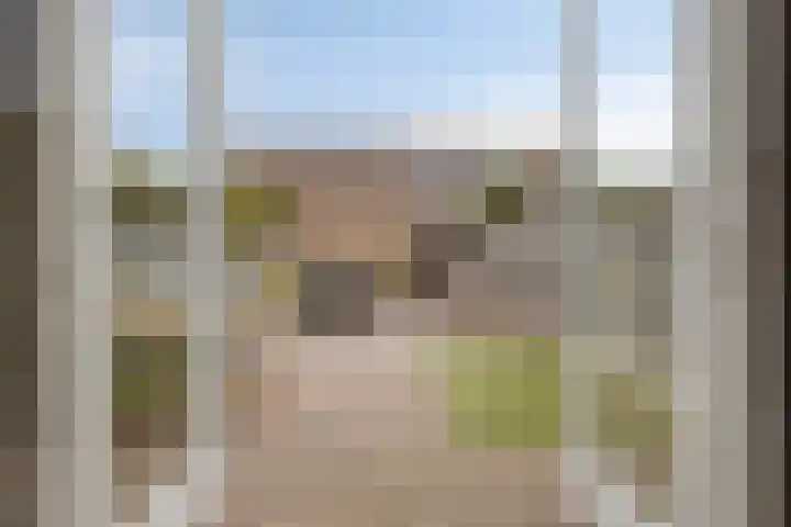 Ligusterstraat 6 's-Gravenpolder thumbnail 4