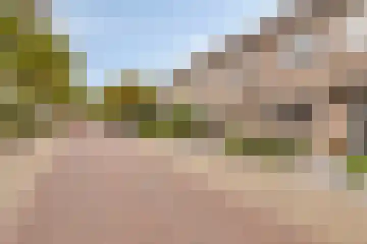 Ligusterstraat 6 's-Gravenpolder thumbnail 6