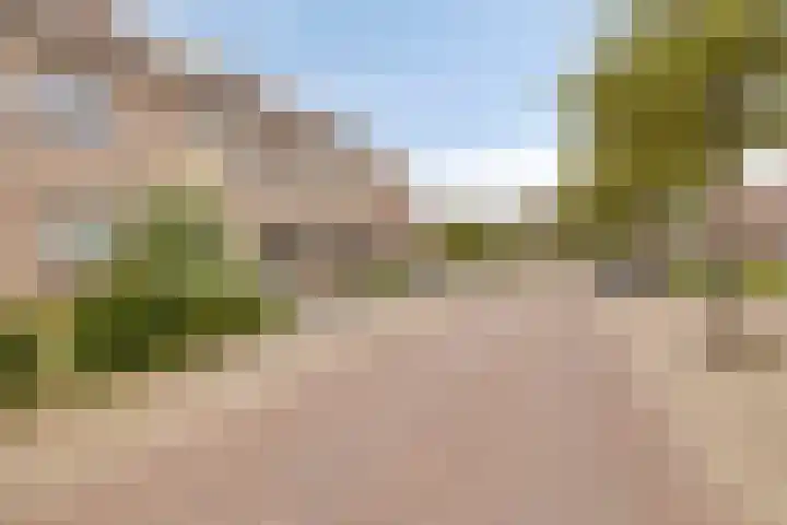 Ligusterstraat 6 's-Gravenpolder thumbnail 7