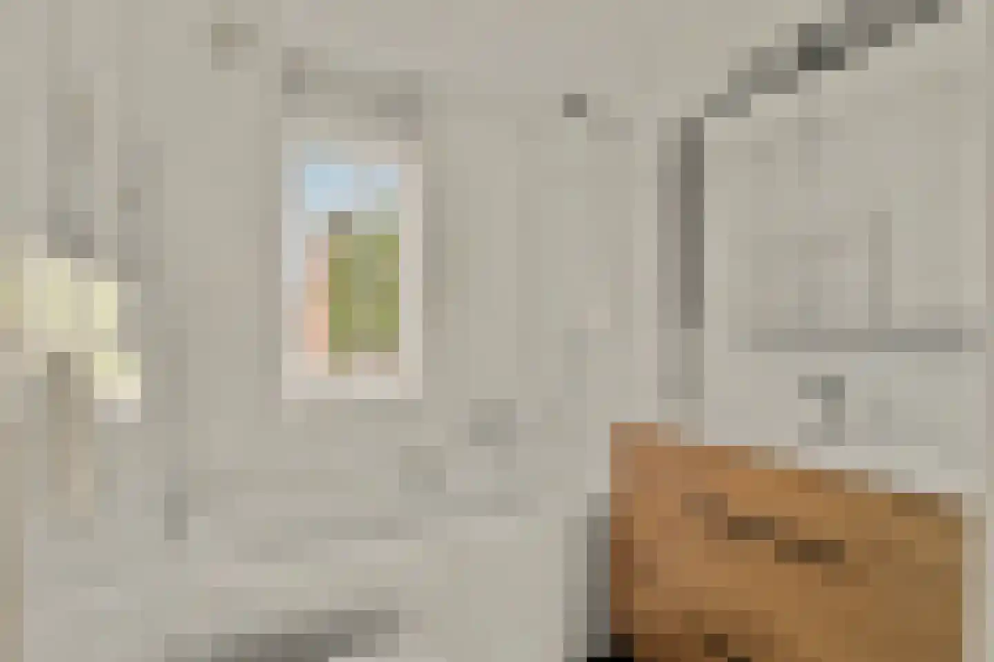 Ligusterstraat 8 's-Gravenpolder thumbnail 20