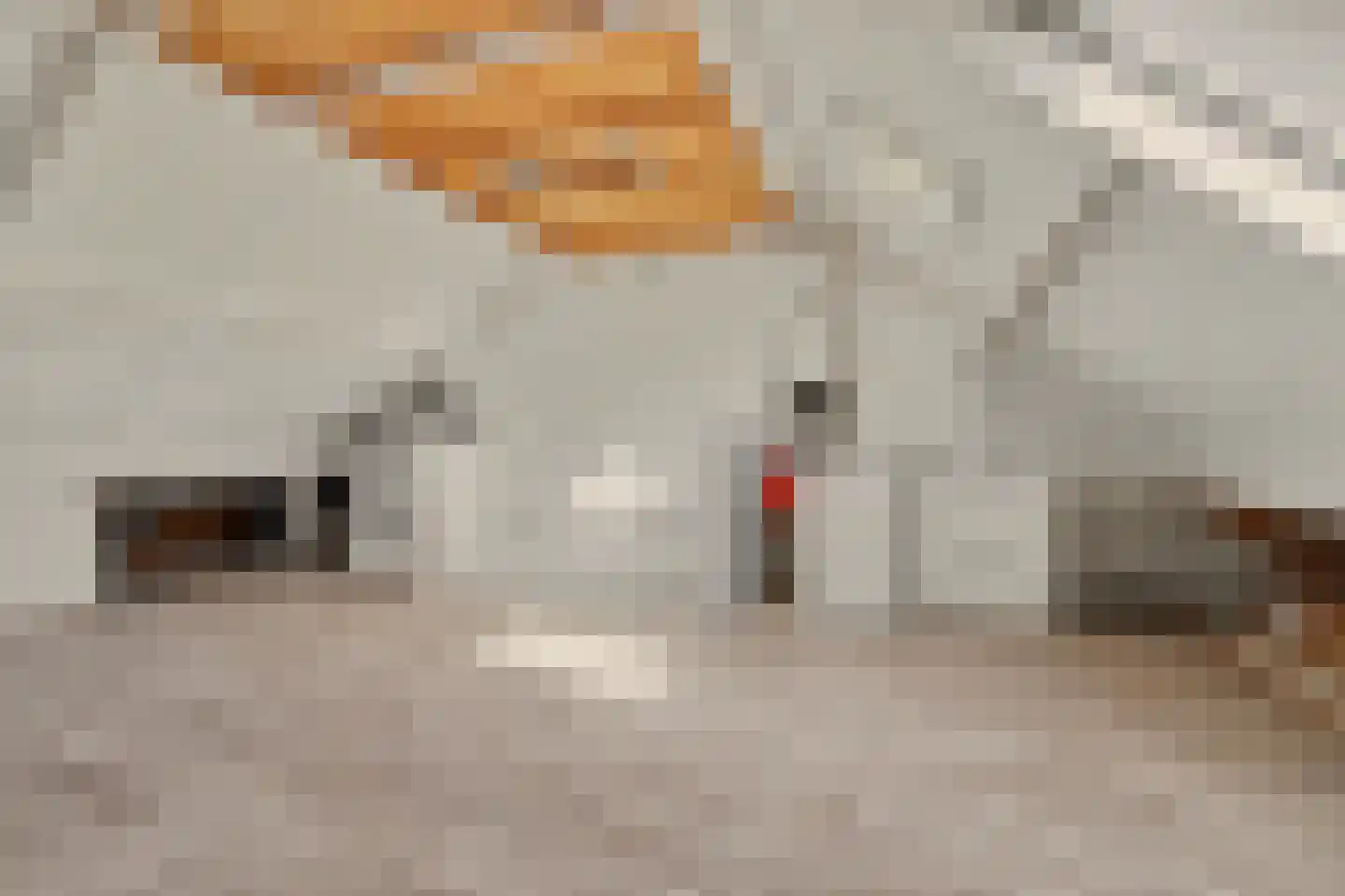 Ligusterstraat 8 's-Gravenpolder thumbnail 23