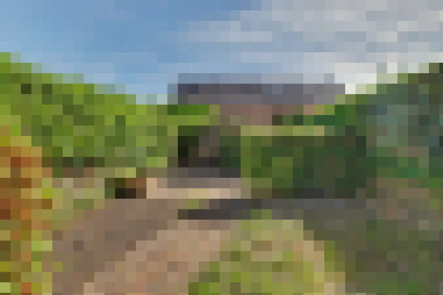 Ligusterstraat 8 's-Gravenpolder thumbnail 26