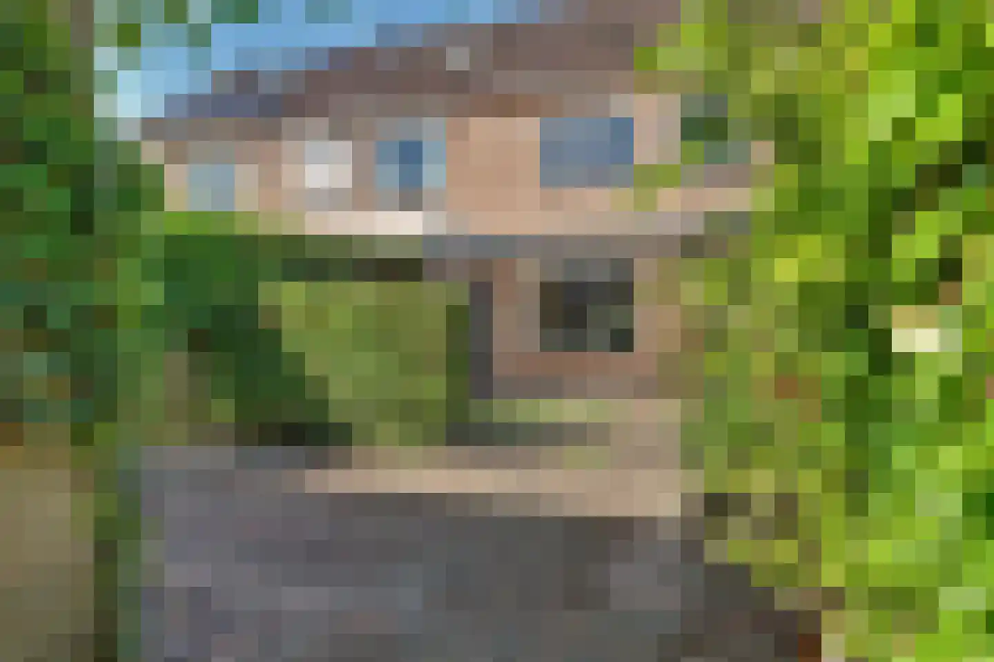 Ligusterstraat 8 's-Gravenpolder thumbnail 29