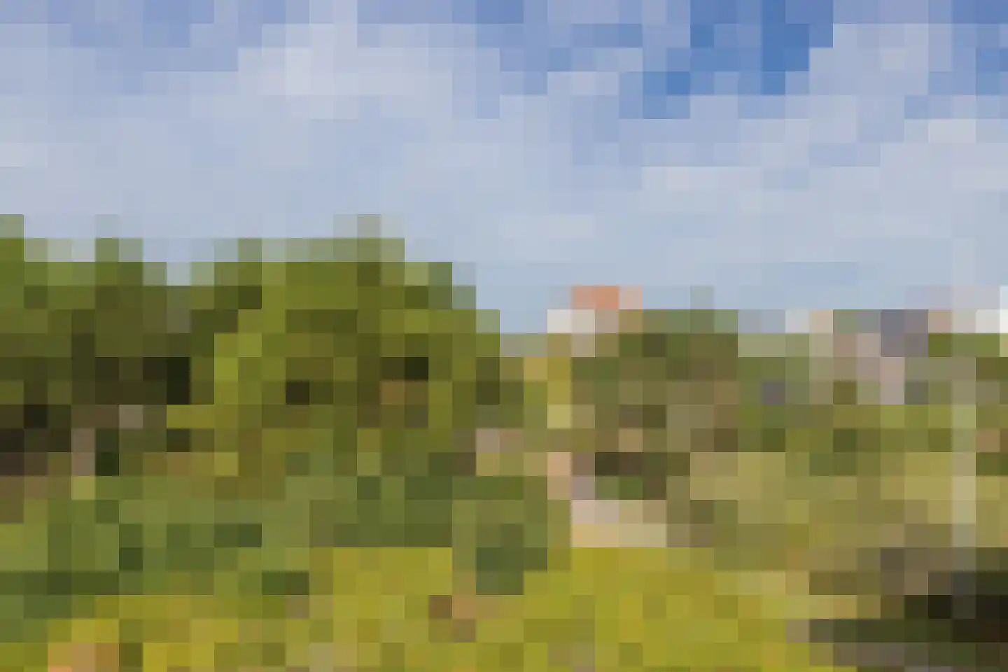 Ligusterweg 1 Noordwijk thumbnail 11