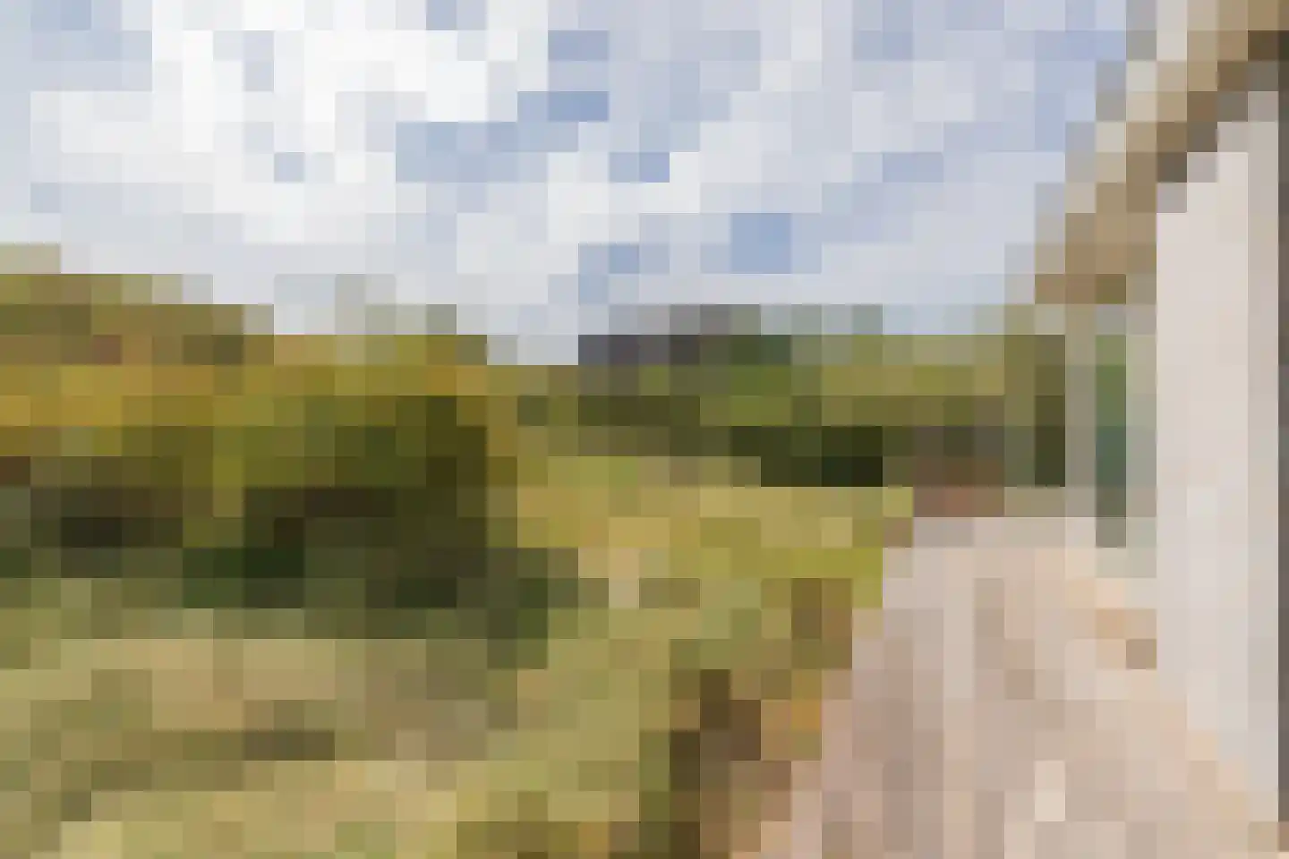 Ligusterweg 1 Noordwijk thumbnail 16